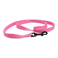 Nylon Dog Leash