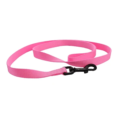 Nylon Dog Leash
