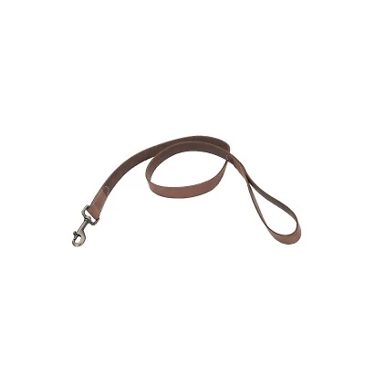 Coastal - Leather Dog Leash - Chocolate Brown