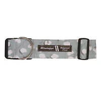 Dog Collar
