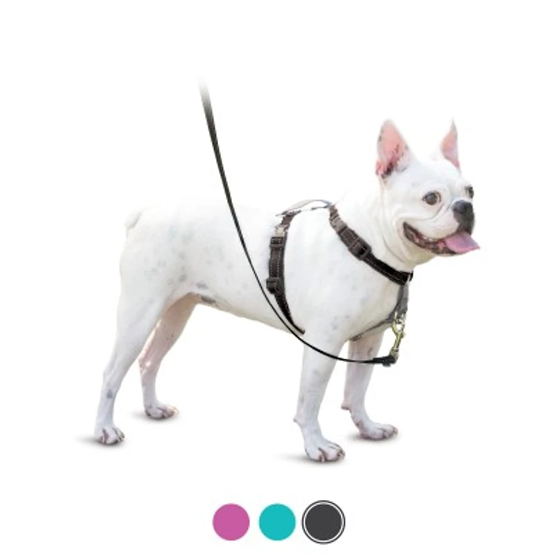 PetSafe - Dog Harness - 3 in 1 Black