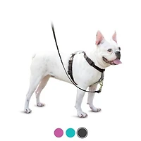 PetSafe - Dog Harness - 3 in 1 Black