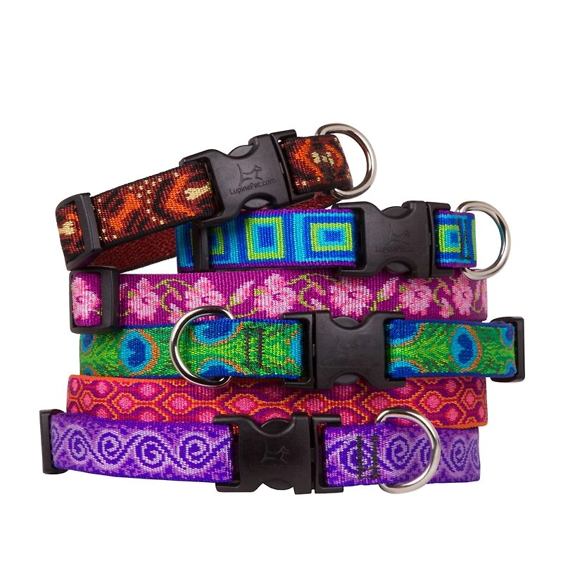 Lupine - Snap Collar - Assorted - 1" Wide