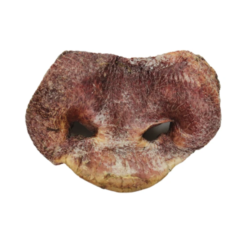 Vital Essentials - Freeze Dried Dog Treat - Pig Snouts