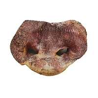 Vital Essentials - Freeze Dried Dog Treat - Pig Snouts