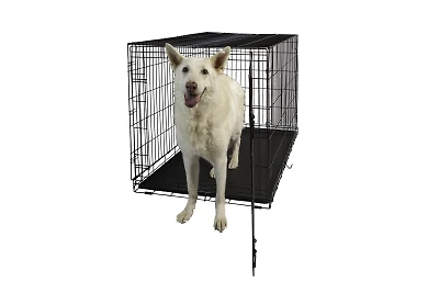 Dog Crate - Single Door