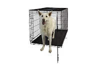 Dog Crate - Single Door