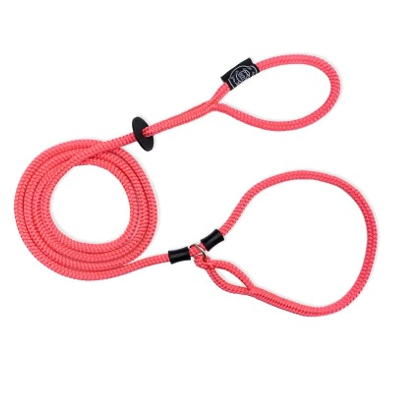 Dog Leash & Harness