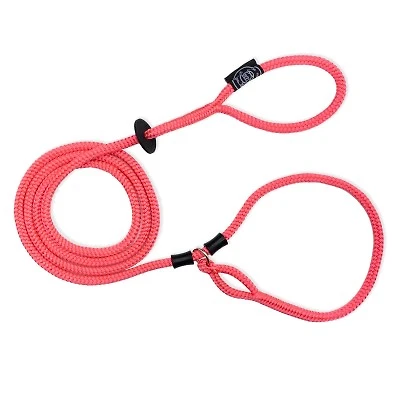 Dog Leash & Harness