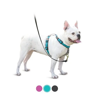 PetSafe - Dog Harness - 3 in 1 Teal