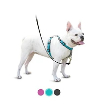 PetSafe - Dog Harness - 3 in 1 Teal