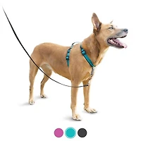 Dog Harness