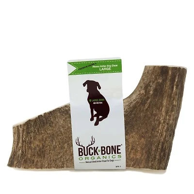 - Moose Antler Chew - Whole