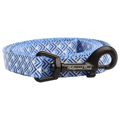 Nylon Dog Leash - Gradient Blue
