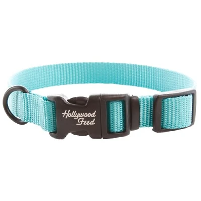 Nylon Dog Collar - Teal