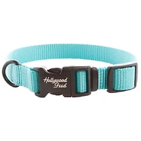 Nylon Dog Collar - Teal