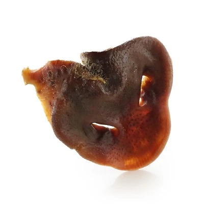 Purposeful Pup - Dog Chew - Pig Snout