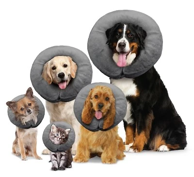Arlee - Comfurt Collar Cone