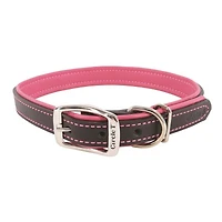 Coastal - Leather Dog Collar - Black & Rosebud