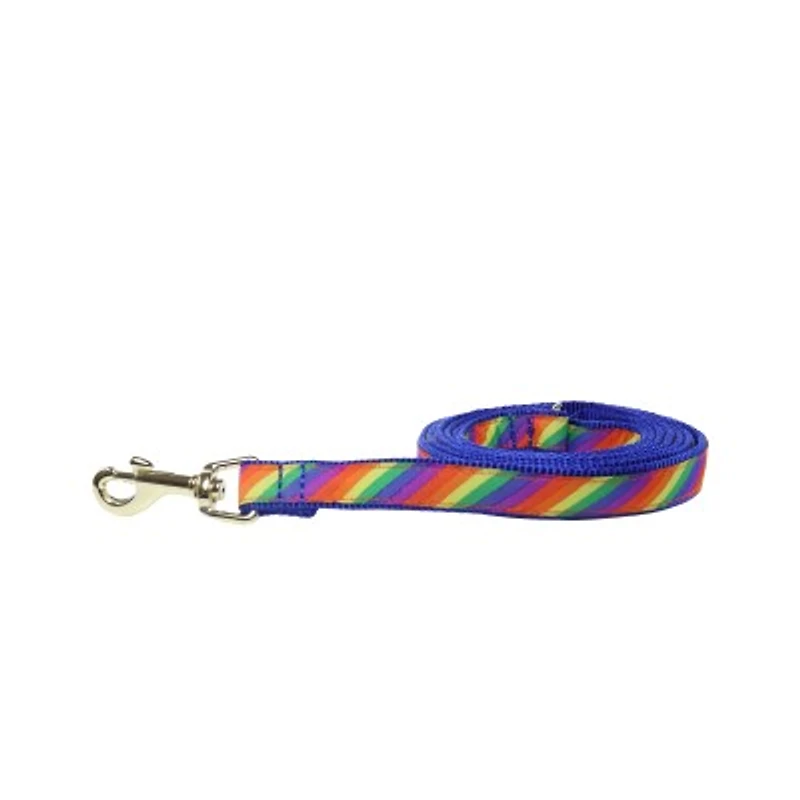 Solo & Lilly - Dog Leash - Rainbow