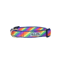 Solo & Lilly - Dog Collar