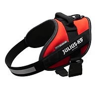 Dog Harness
