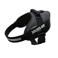 Dog Harness