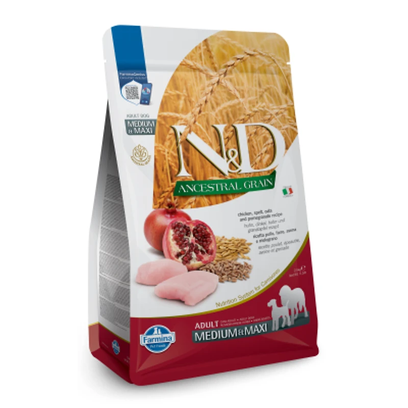 Dry Dog Food