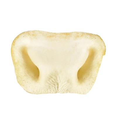 Made In South America - Dog Chew - Moozle