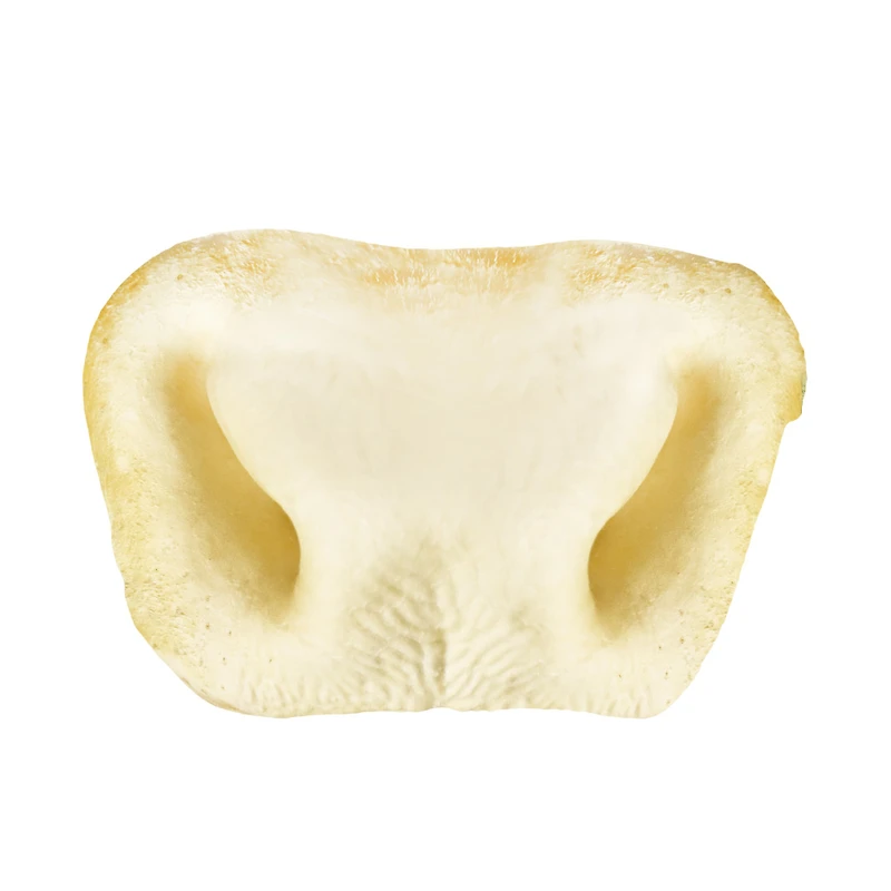 Made In South America - Dog Chew - Moozle