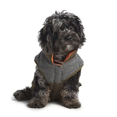 Hotel Doggy - Dog Clothing - Olive Utility Vest