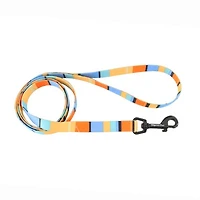 Dog Leash - Pantone Orange