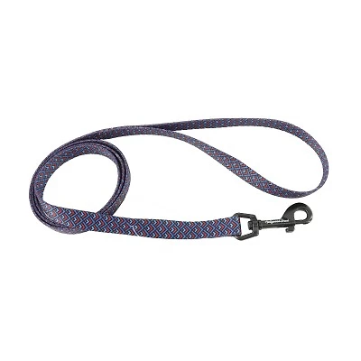 Dog Leash - Kaleidoscope Blue