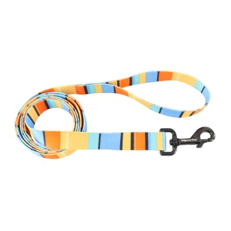 - Dog Leash - Pantone Orange