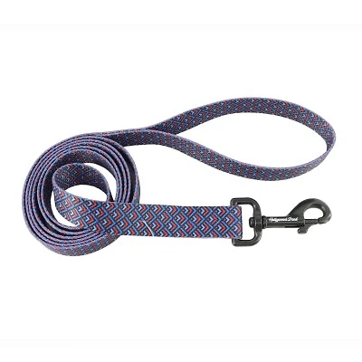 - Dog Leash - Kaleidoscope Blue