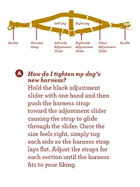 Nylon Dog Harness