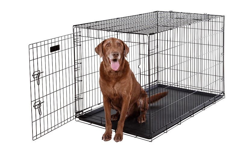 Dog Crate - Single Door