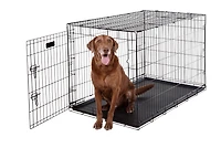 Dog Crate - Single Door