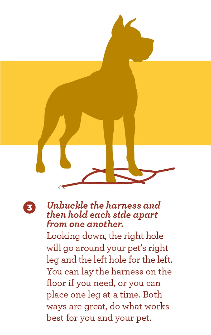 Nylon Dog Harness