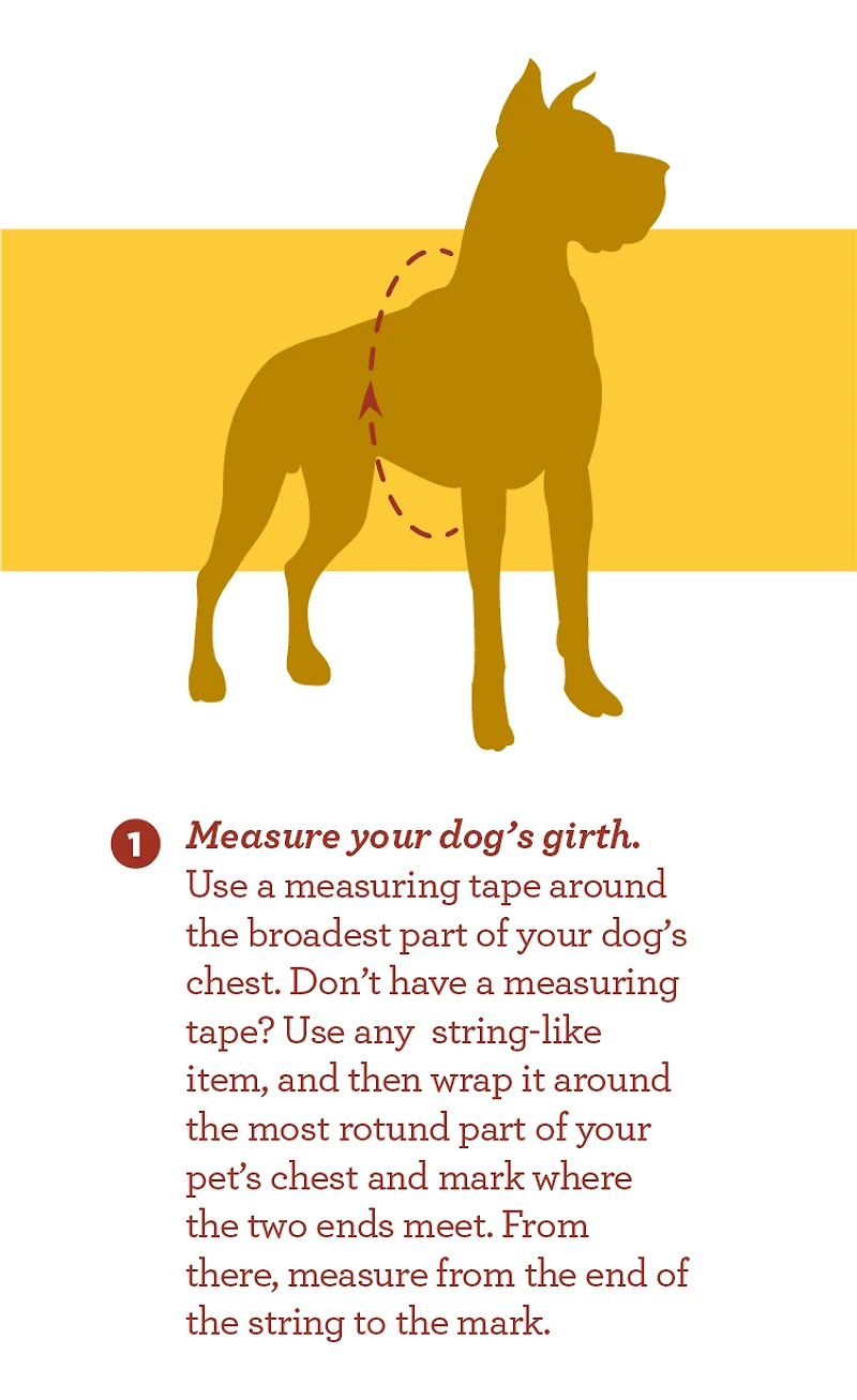 Nylon Dog Harness