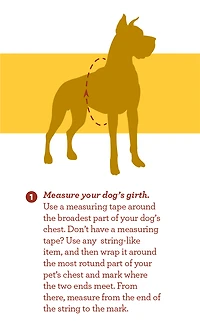 Nylon Dog Harness