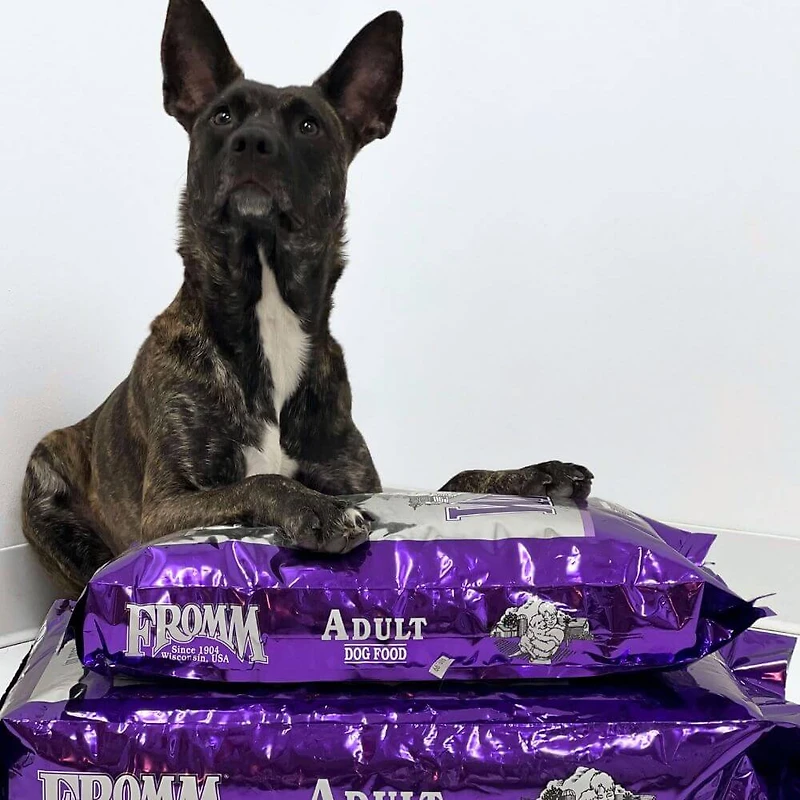 Fromm Classic - Dry Dog Food - Adult - 5 lb