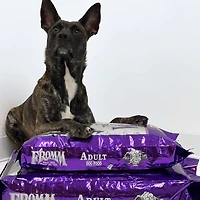 Fromm Classic - Dry Dog Food - Adult - 5 lb