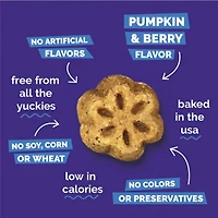 Fruitables - Skinny Minis® Dog Treat - Big Flavor Soft Chews with Superfoods - Pumpkin & Berry