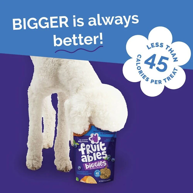 Fruitables - Biggies™ Dog Treat - Crunchy Bold Flavor & Natural Ingredients - Pumpkin & Blueberry