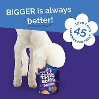 Fruitables - Biggies™ Dog Treat - Crunchy Bold Flavor & Natural Ingredients - Pumpkin & Blueberry