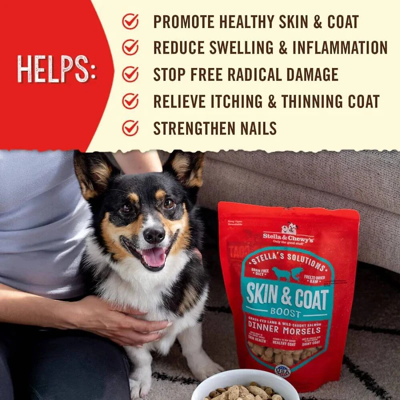 Stella & Chewy's - Freeze Dried Dog Food - Skin & Coat Support Meal or Topper - Grass Fed Lamb & Wild Caught Salmon Recipe