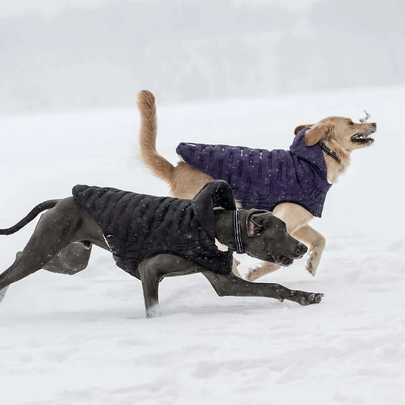 Puffy Cloud Parka Dog Coat - Elasto-Fit®, Water Repellent & Sherpa Lined