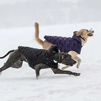Puffy Cloud Parka Dog Coat - Elasto-Fit®, Water Repellent & Sherpa Lined