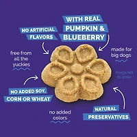 Fruitables - Biggies™ Dog Treat - Crunchy Bold Flavor & Natural Ingredients - Pumpkin & Blueberry